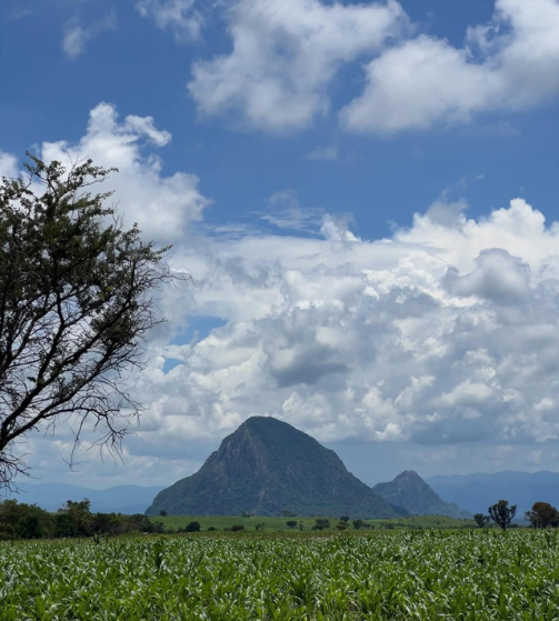 cerro-1
