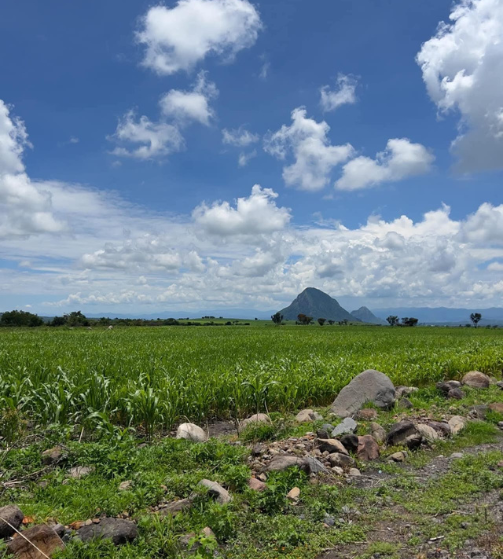 paisaje-1